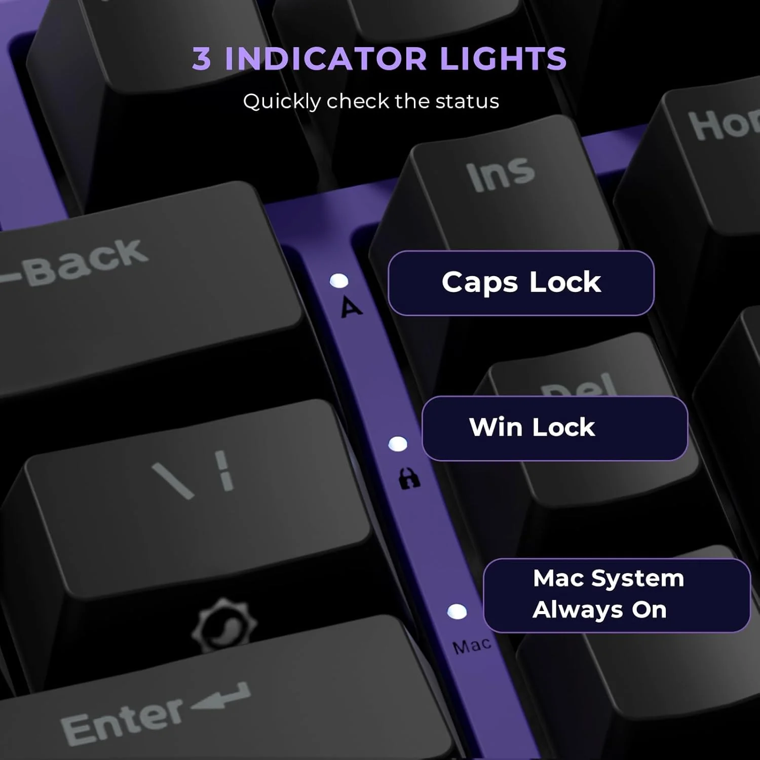Royal Kludge RK X87 Single-Mode RGB 86 Keys Hot Swappable Mechanical Keyboard Blackberry Mousse (Creamy Switch) - Image 7