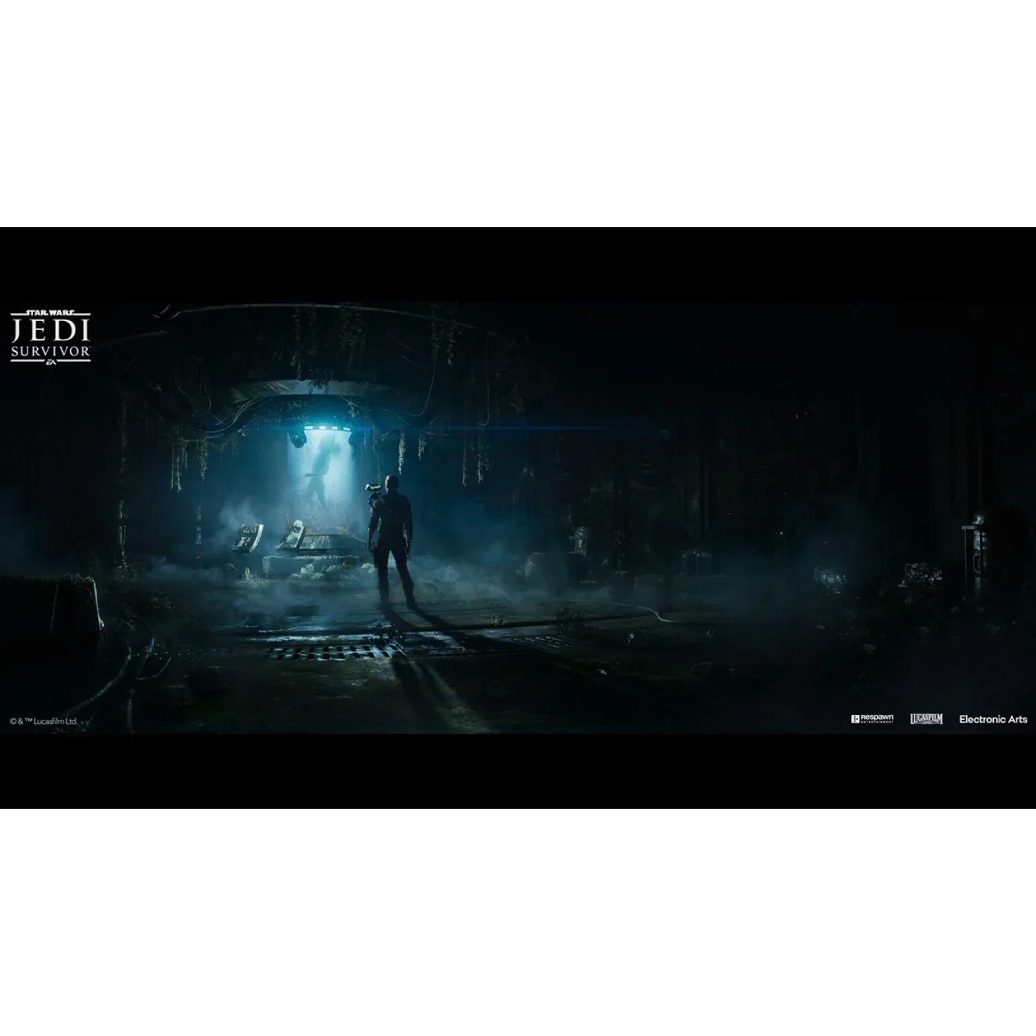 Star Wars Jedi Survivor PC (Code In a Box) - Image 9