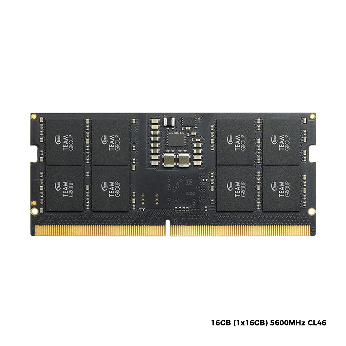TeamGroup Elite DDR5 16GB (1x16GB) 5600MHz CL46 Laptop Memory (TED516G5600C46A-S01)