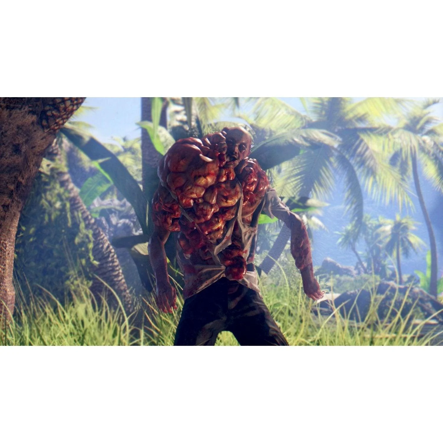 Xbox One Dead Island Definitive Collection (US) - Image 2