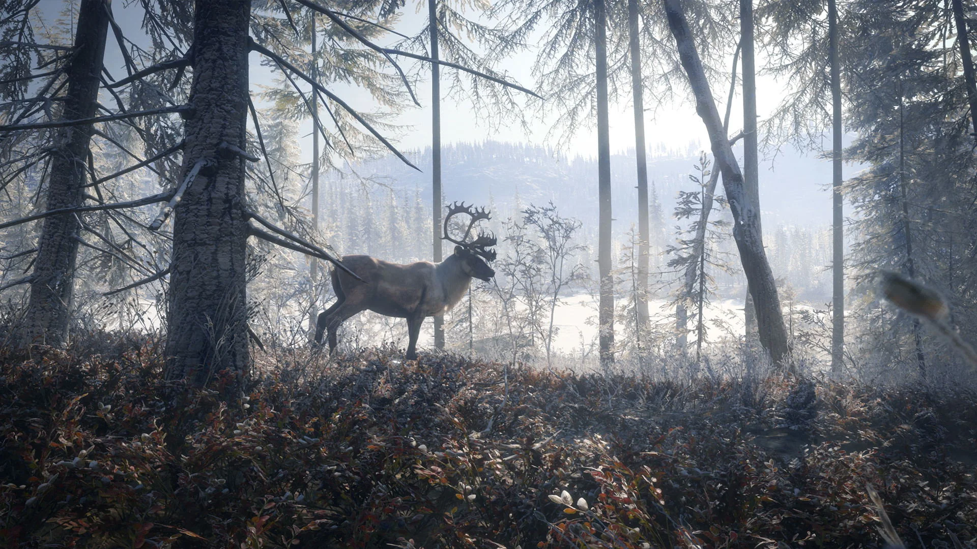 XBOXONE The Hunter Call Of The Wild 2019 Edition (EU) (Eng/FR/SP) - Image 3
